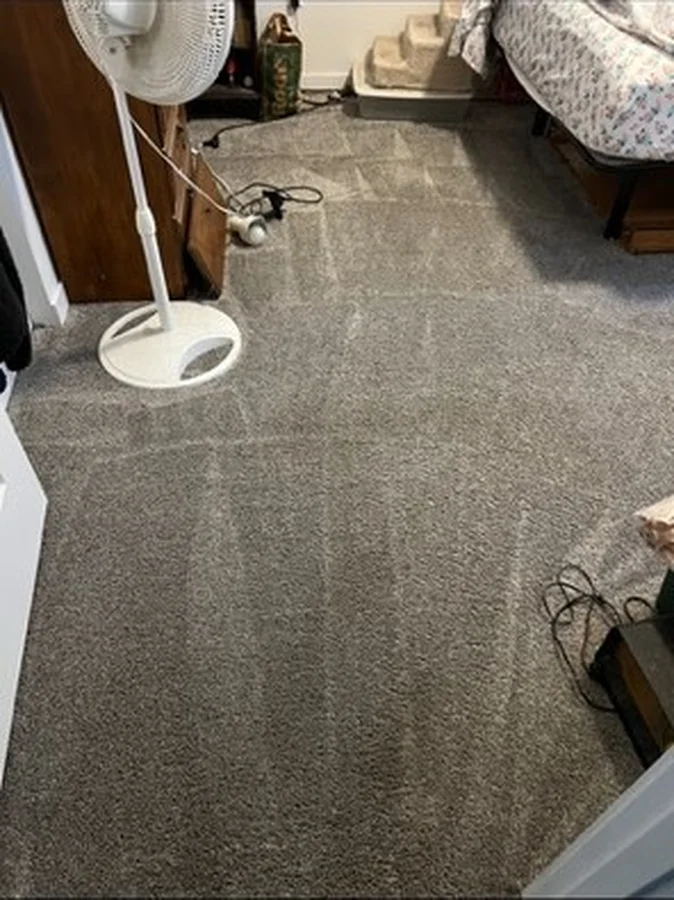 Cleaning Service