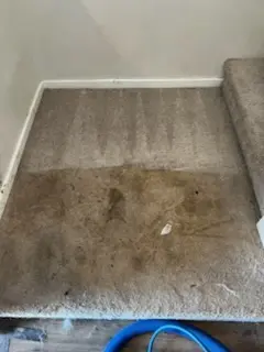 Cleaning Service